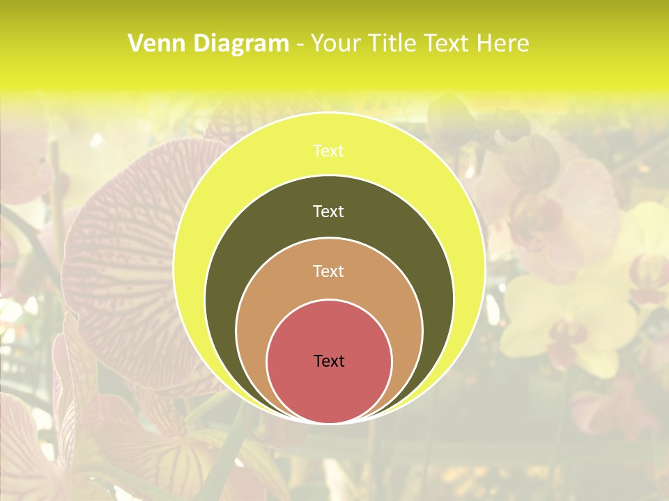 Table Business Paperwork PowerPoint Template