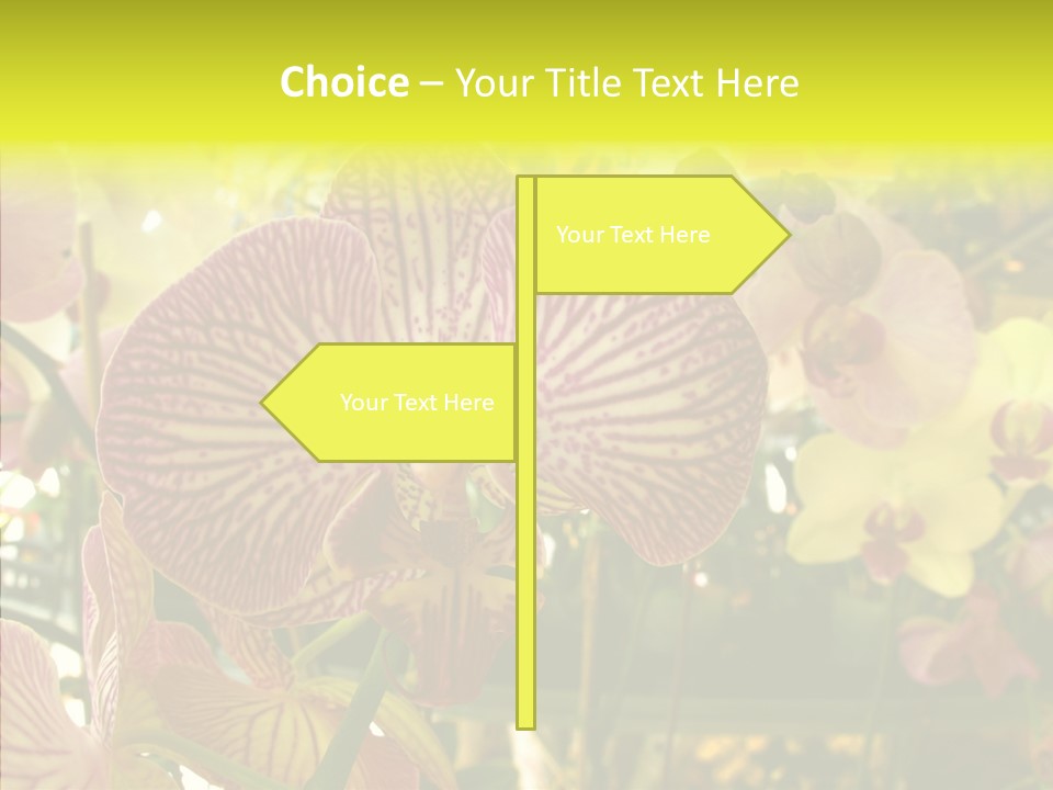 Table Business Paperwork PowerPoint Template