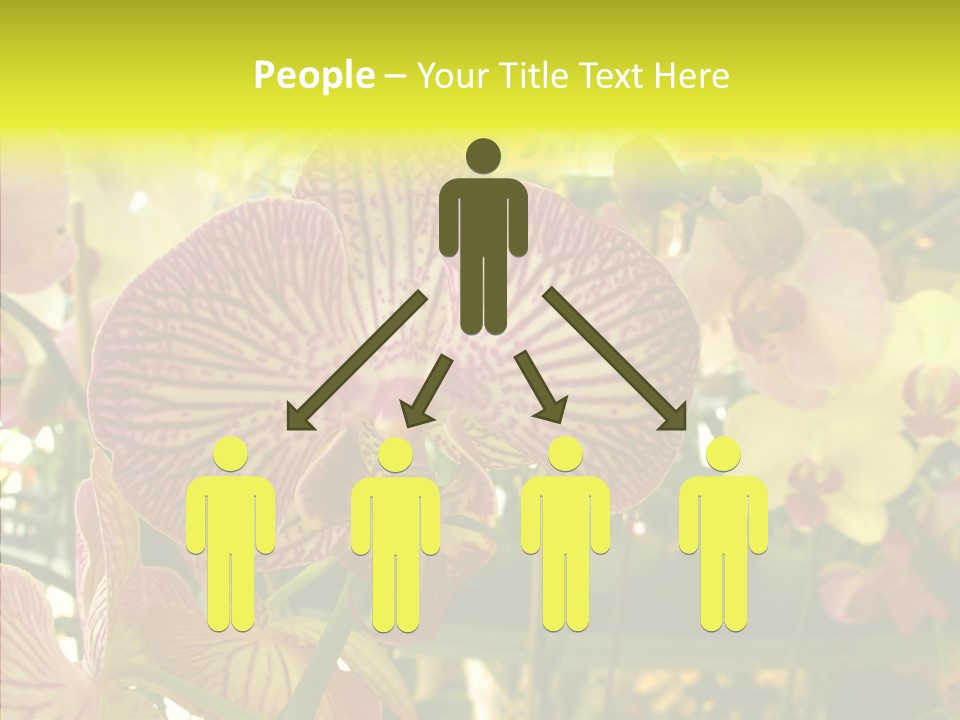 Table Business Paperwork PowerPoint Template