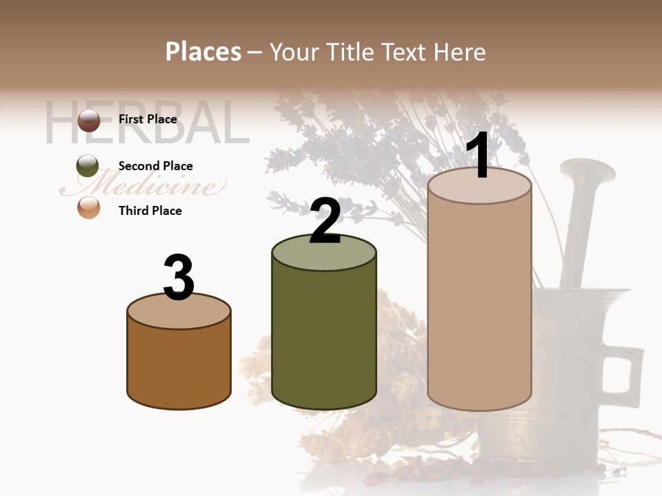 Business PowerPoint Template