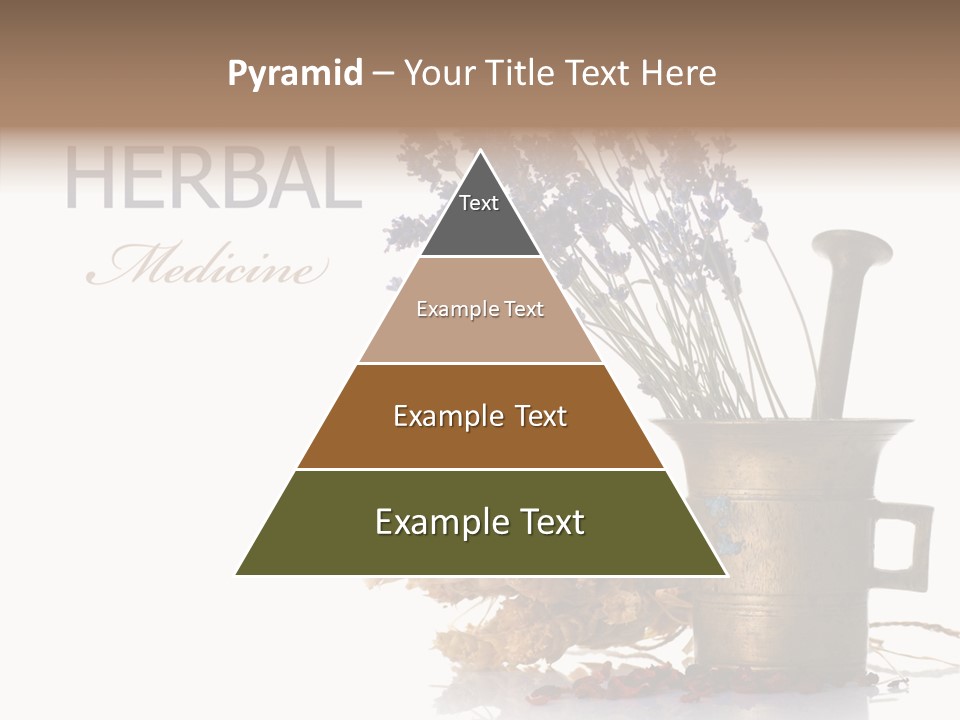 Business PowerPoint Template