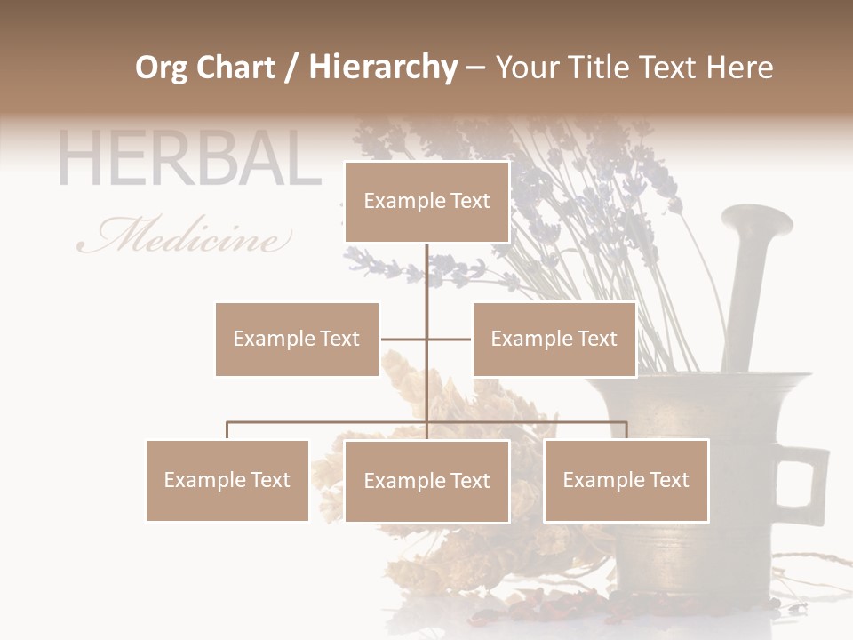Business PowerPoint Template