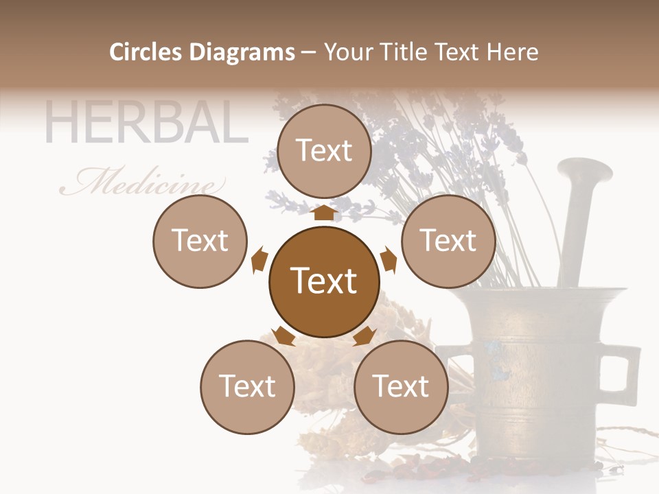 Business PowerPoint Template