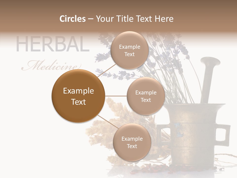 Business PowerPoint Template