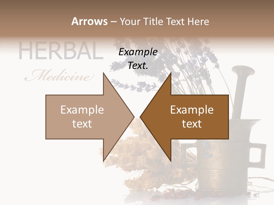 Business PowerPoint Template