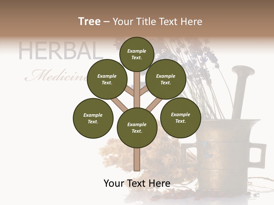 Business PowerPoint Template