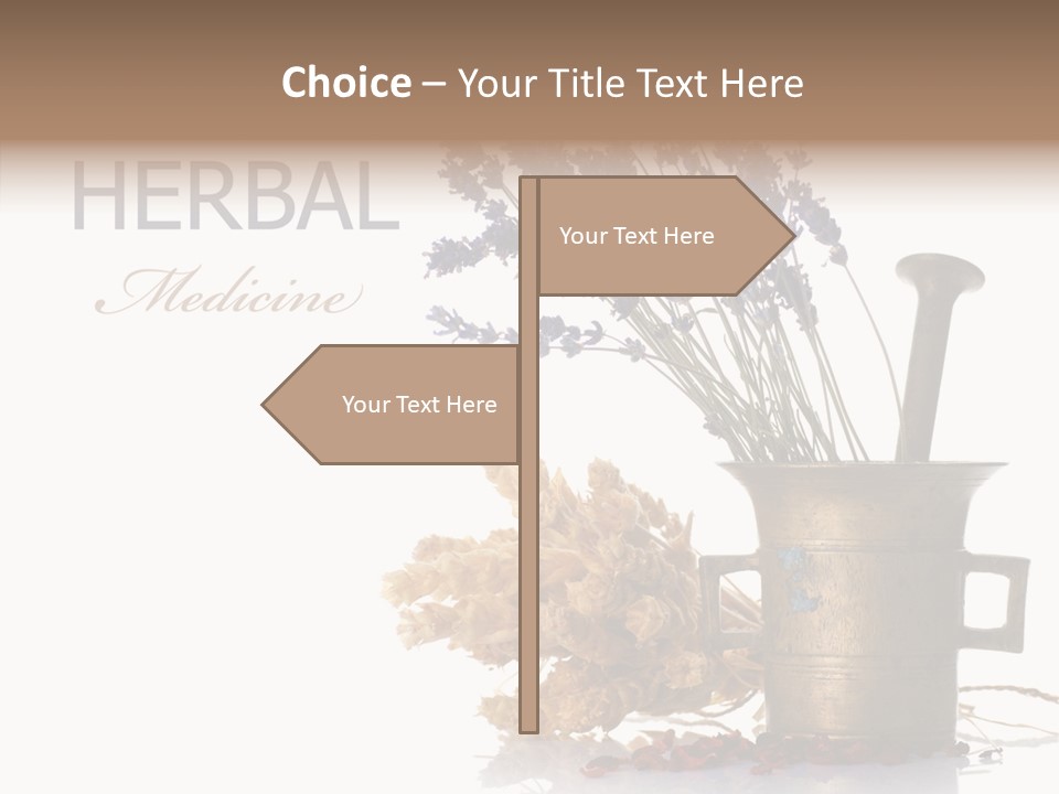 Business PowerPoint Template
