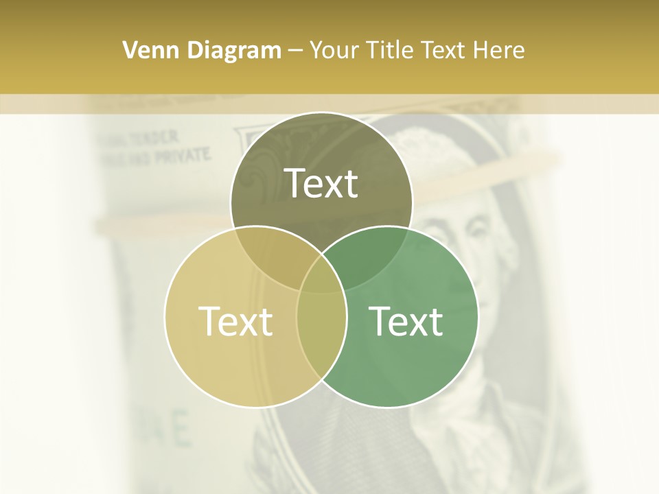 Thank You PowerPoint Template