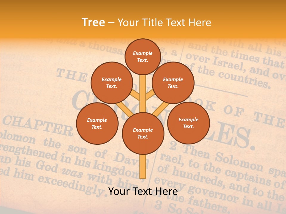 Close King Study PowerPoint Template