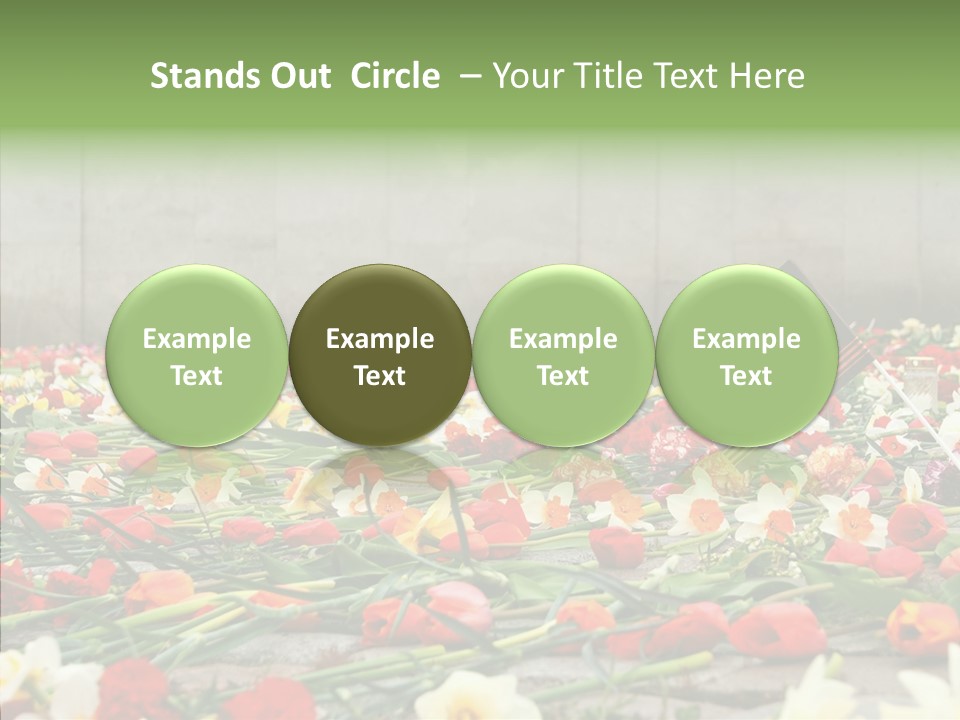 Flag  Decoration PowerPoint Template