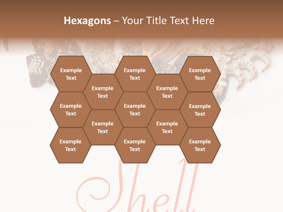 Collect Exotic Background PowerPoint Template