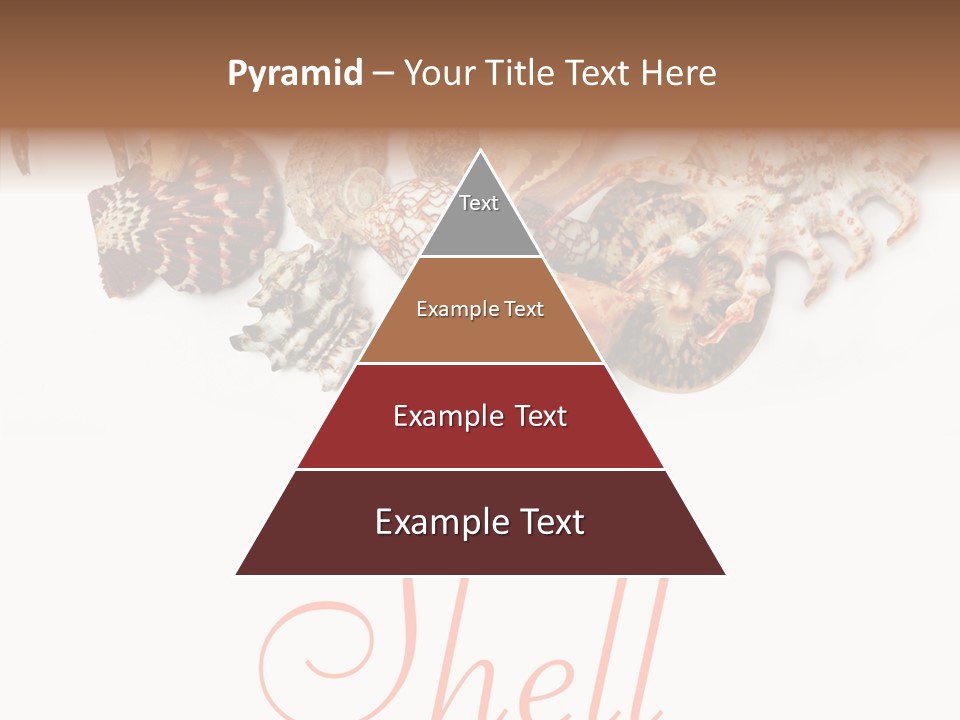 Collect Exotic Background PowerPoint Template