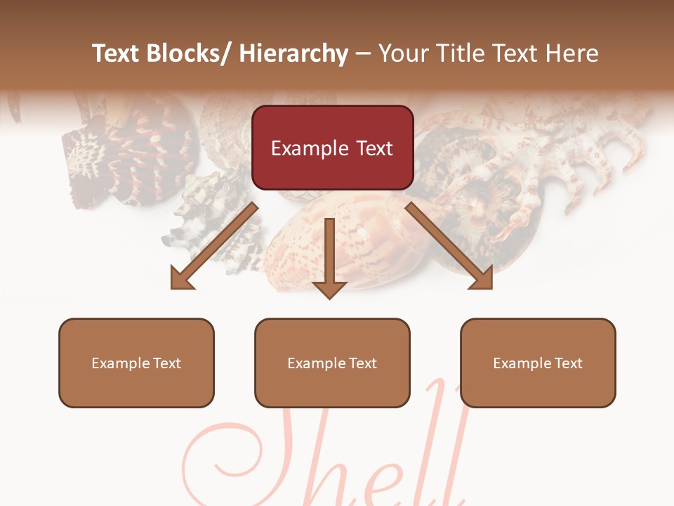 Collect Exotic Background PowerPoint Template