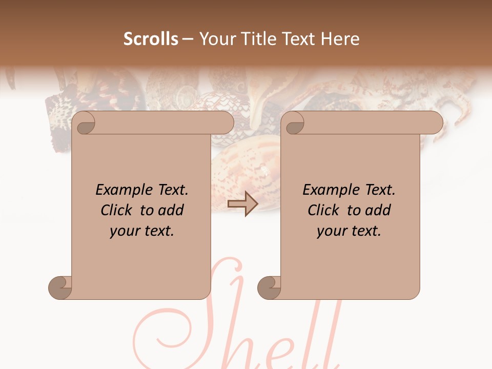 Collect Exotic Background PowerPoint Template