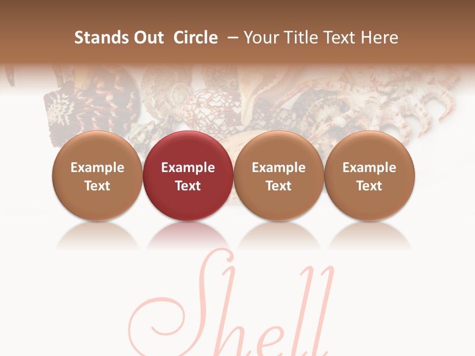 Collect Exotic Background PowerPoint Template