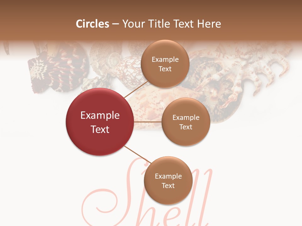 Collect Exotic Background PowerPoint Template