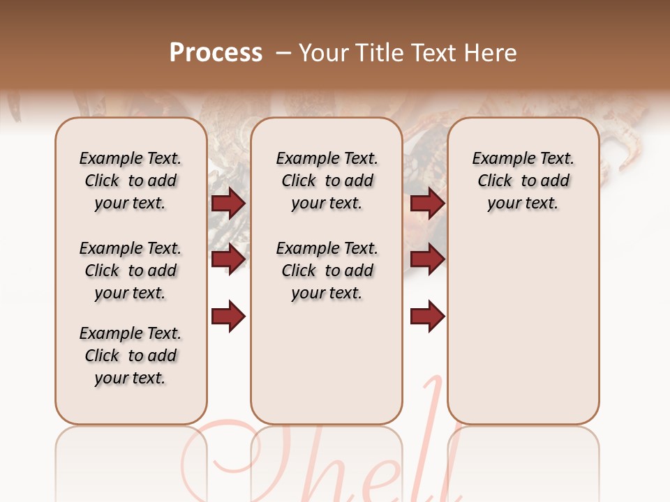 Collect Exotic Background PowerPoint Template