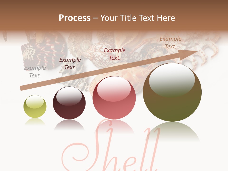 Collect Exotic Background PowerPoint Template