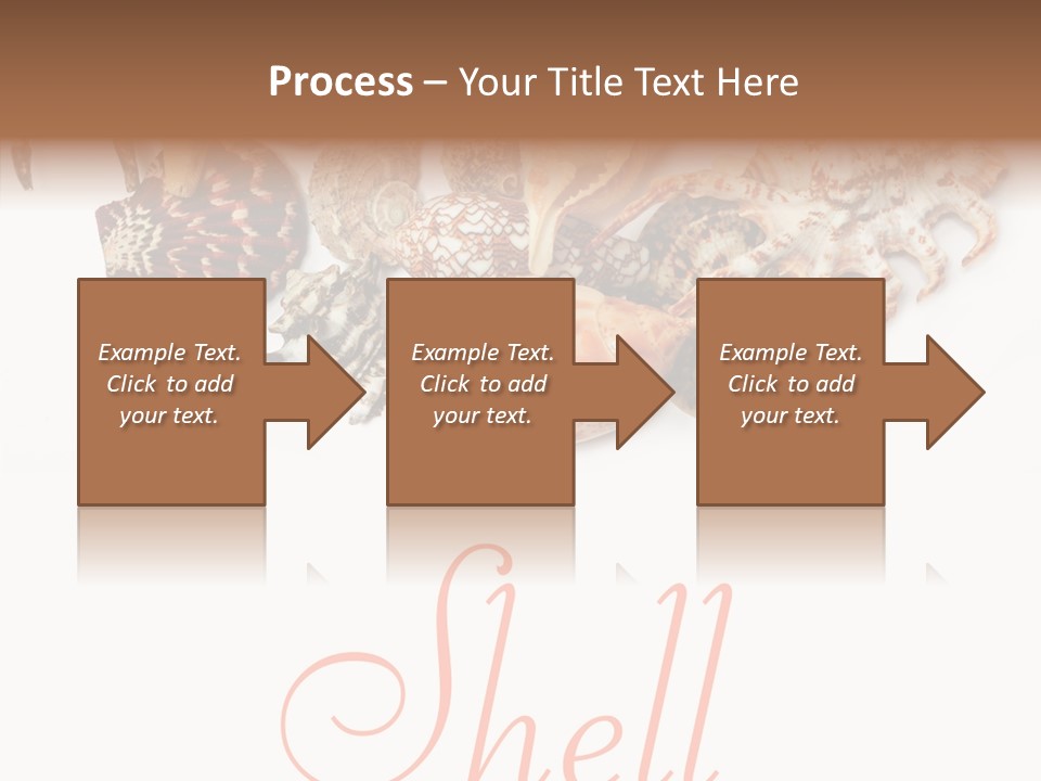 Collect Exotic Background PowerPoint Template