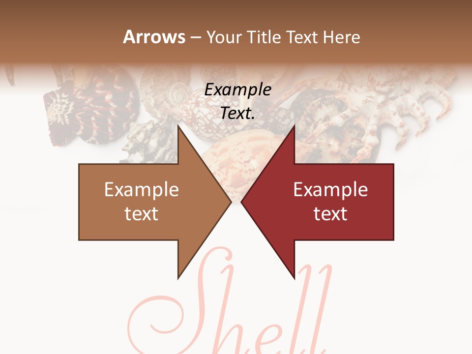 Collect Exotic Background PowerPoint Template