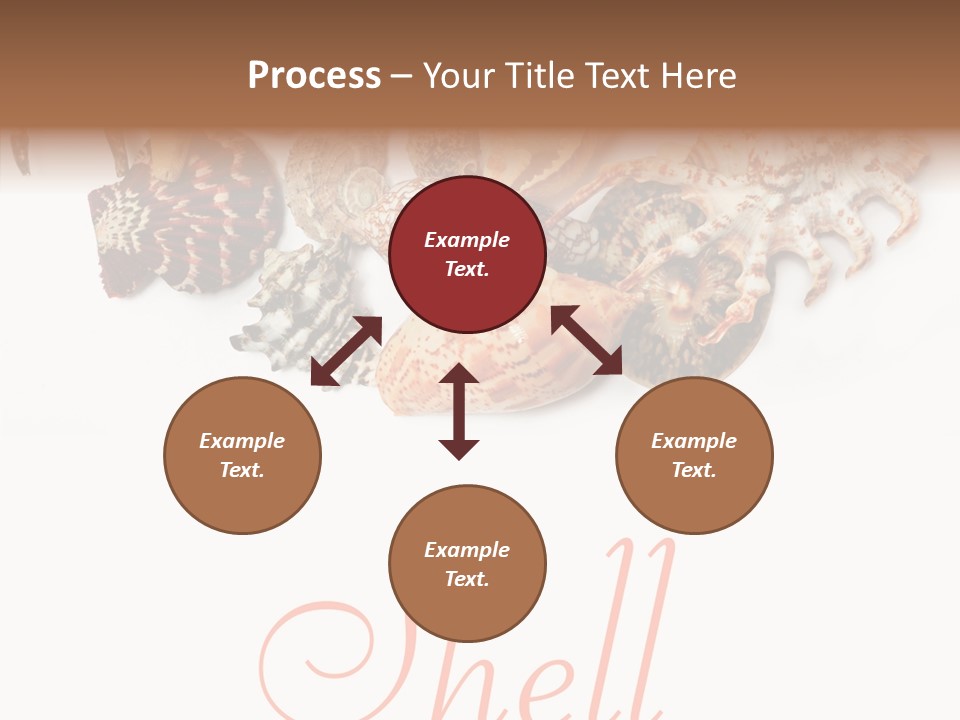 Collect Exotic Background PowerPoint Template