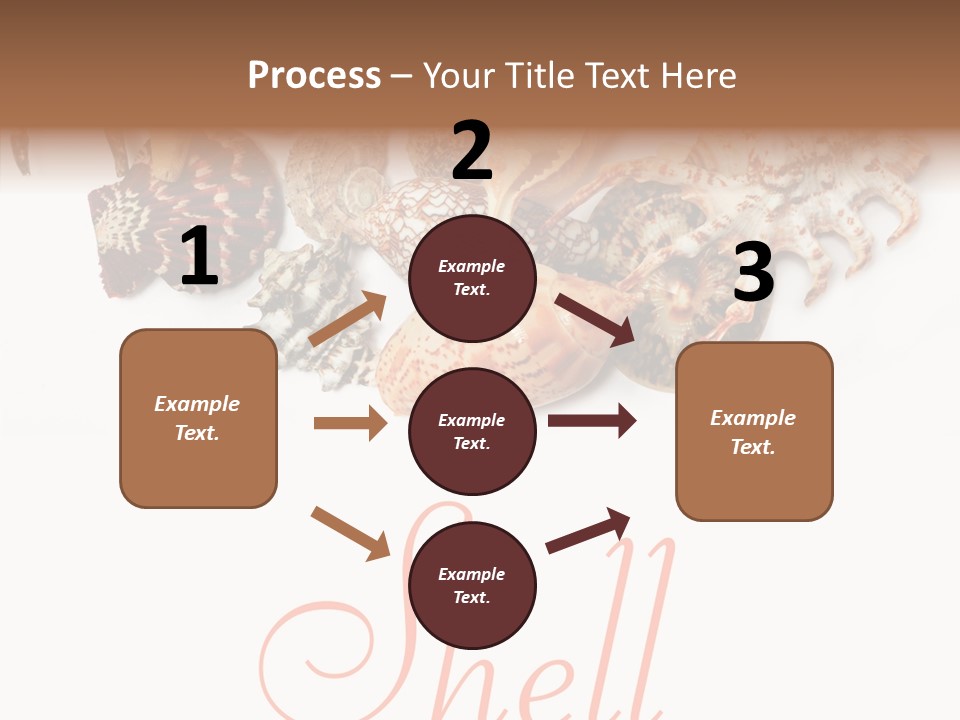 Collect Exotic Background PowerPoint Template