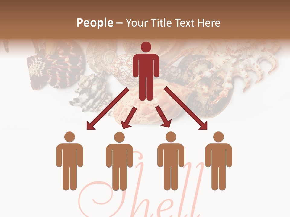 Collect Exotic Background PowerPoint Template