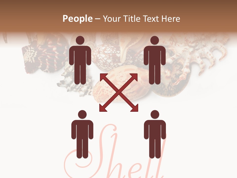 Collect Exotic Background PowerPoint Template