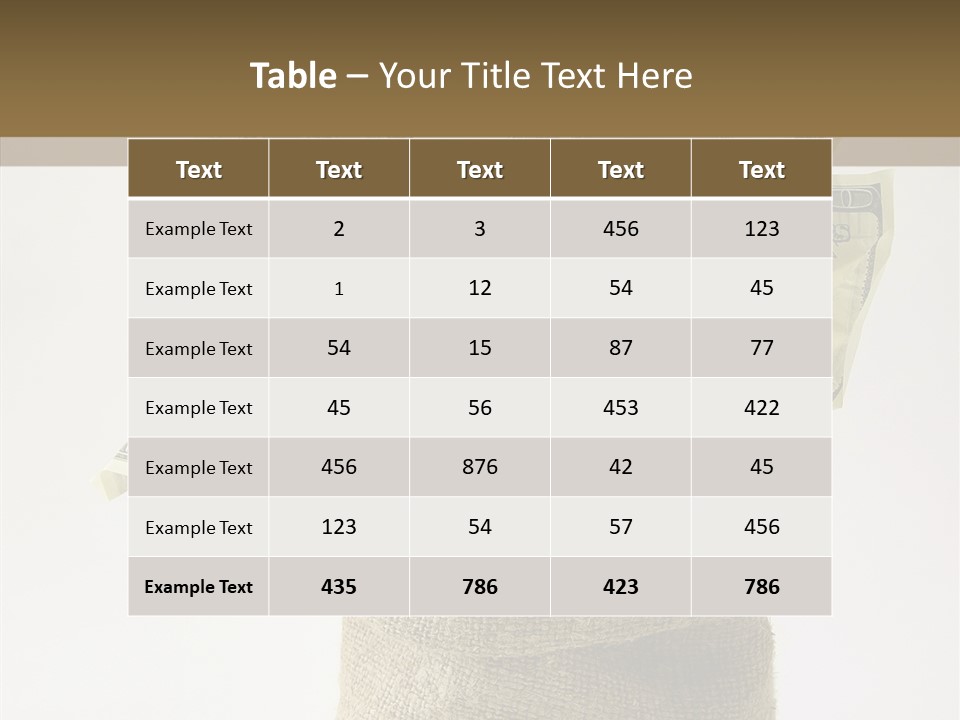 Sack Of Money PowerPoint Template