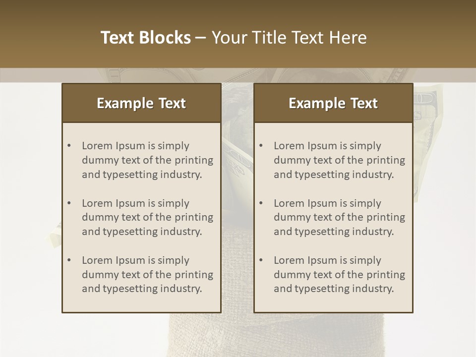 Sack Of Money PowerPoint Template