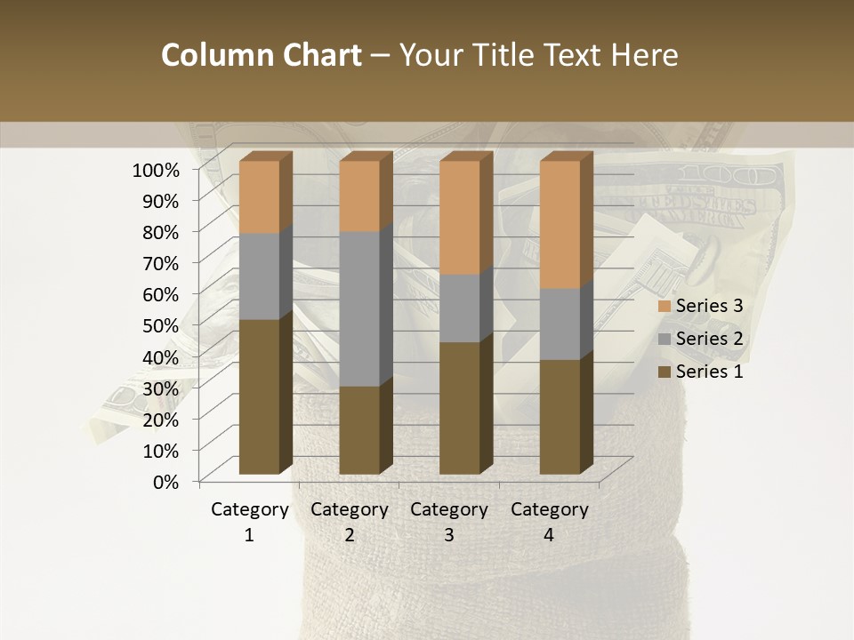 Sack Of Money PowerPoint Template