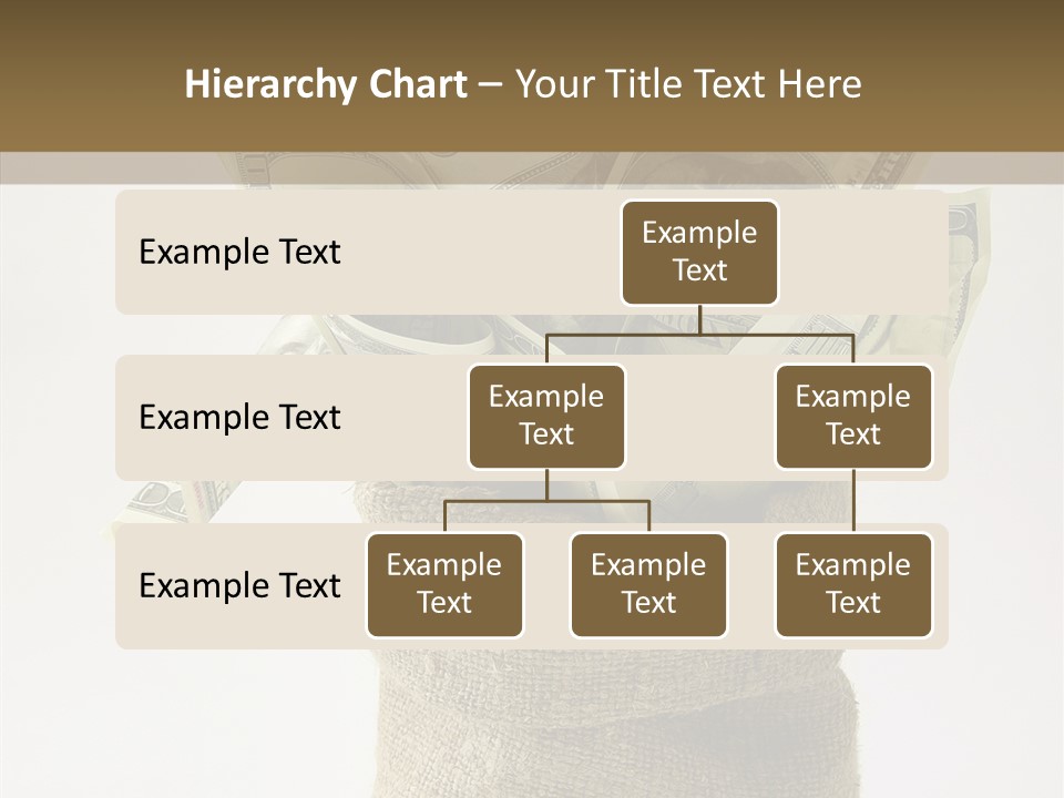 Sack Of Money PowerPoint Template
