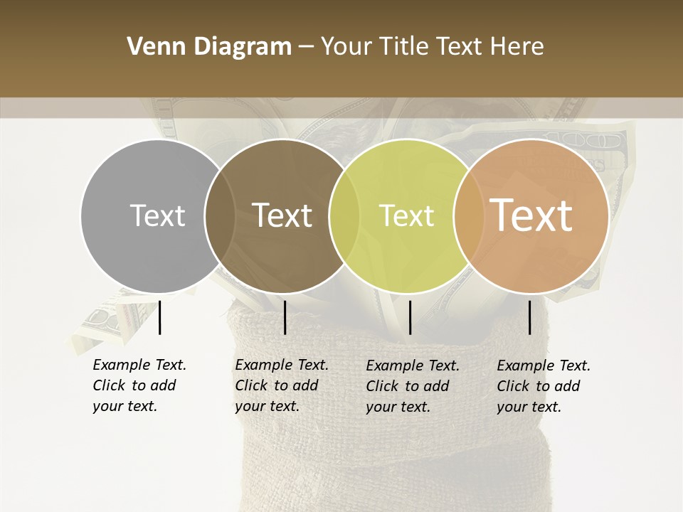 Sack Of Money PowerPoint Template