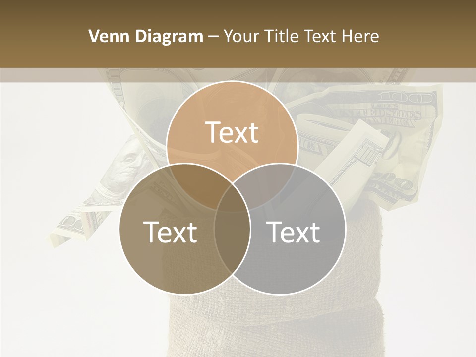Sack Of Money PowerPoint Template