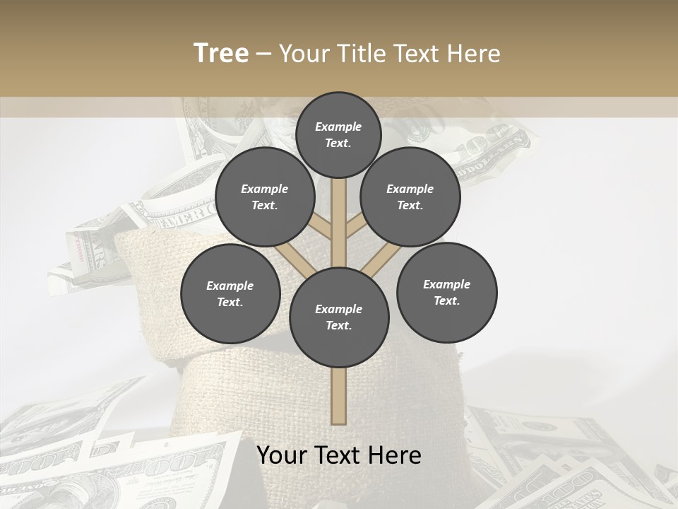 Reserve Bankroll Resources PowerPoint Template
