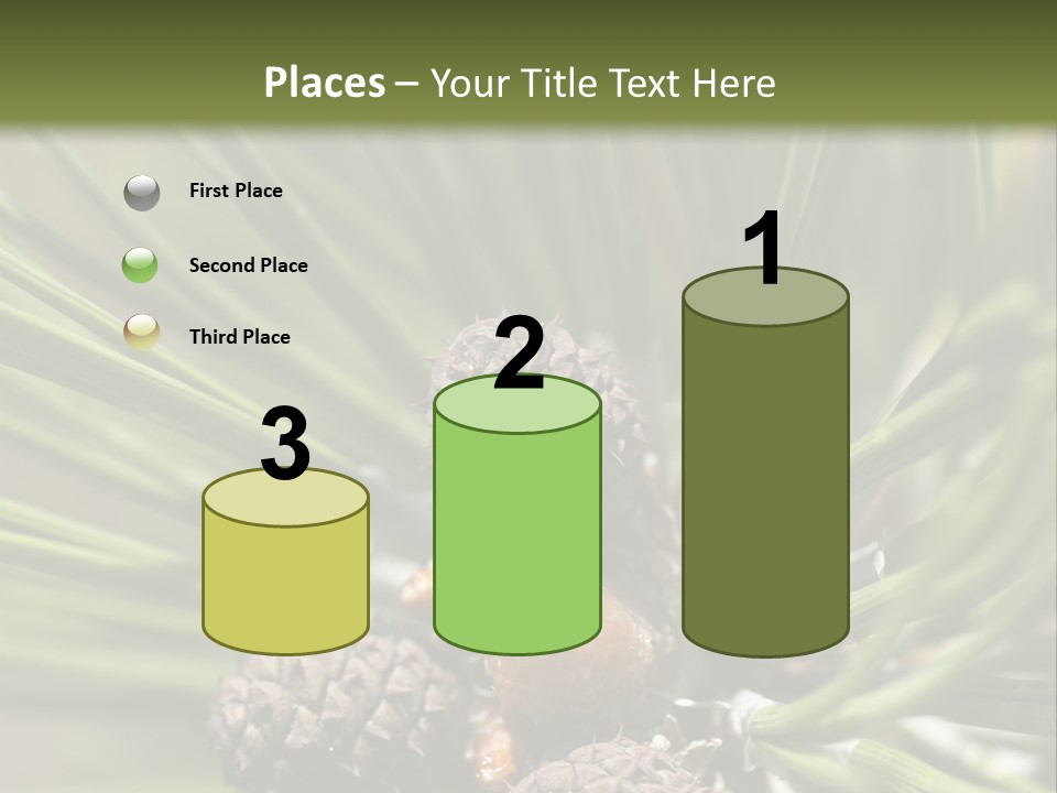 A Pine Tree With Cones And Cones On It PowerPoint Template