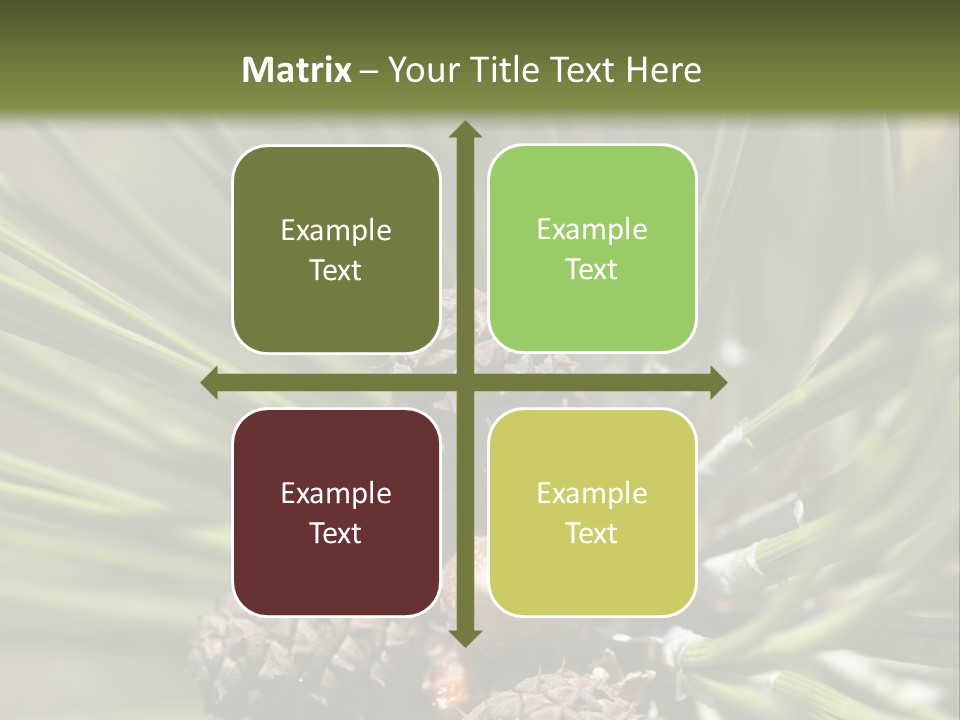 A Pine Tree With Cones And Cones On It PowerPoint Template