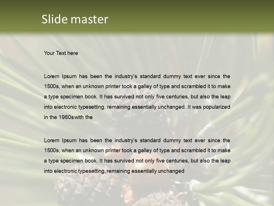 A Pine Tree With Cones And Cones On It PowerPoint Template