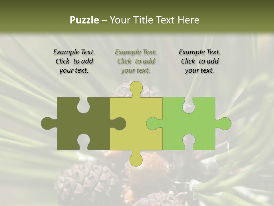 A Pine Tree With Cones And Cones On It PowerPoint Template