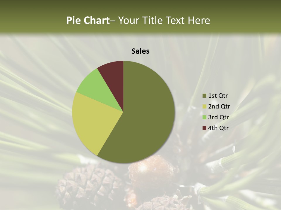 A Pine Tree With Cones And Cones On It PowerPoint Template