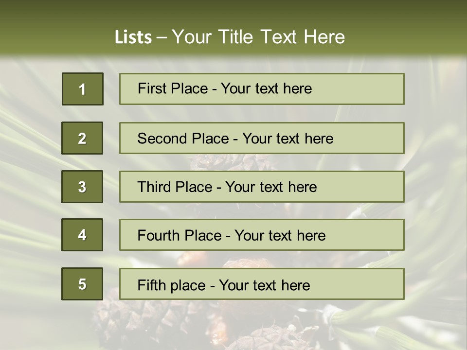 A Pine Tree With Cones And Cones On It PowerPoint Template