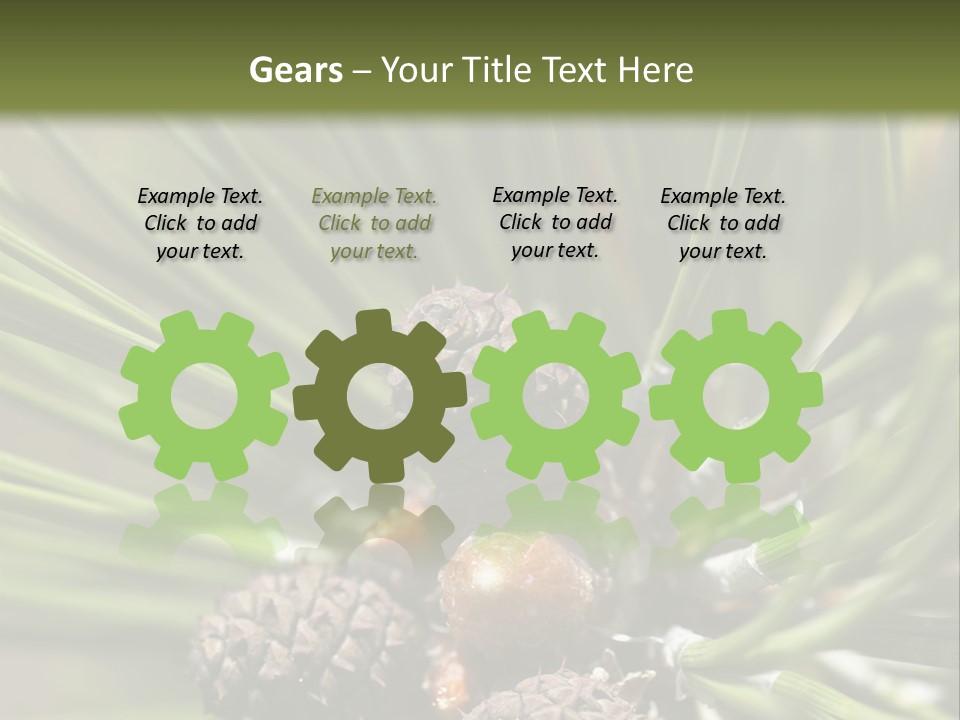 A Pine Tree With Cones And Cones On It PowerPoint Template