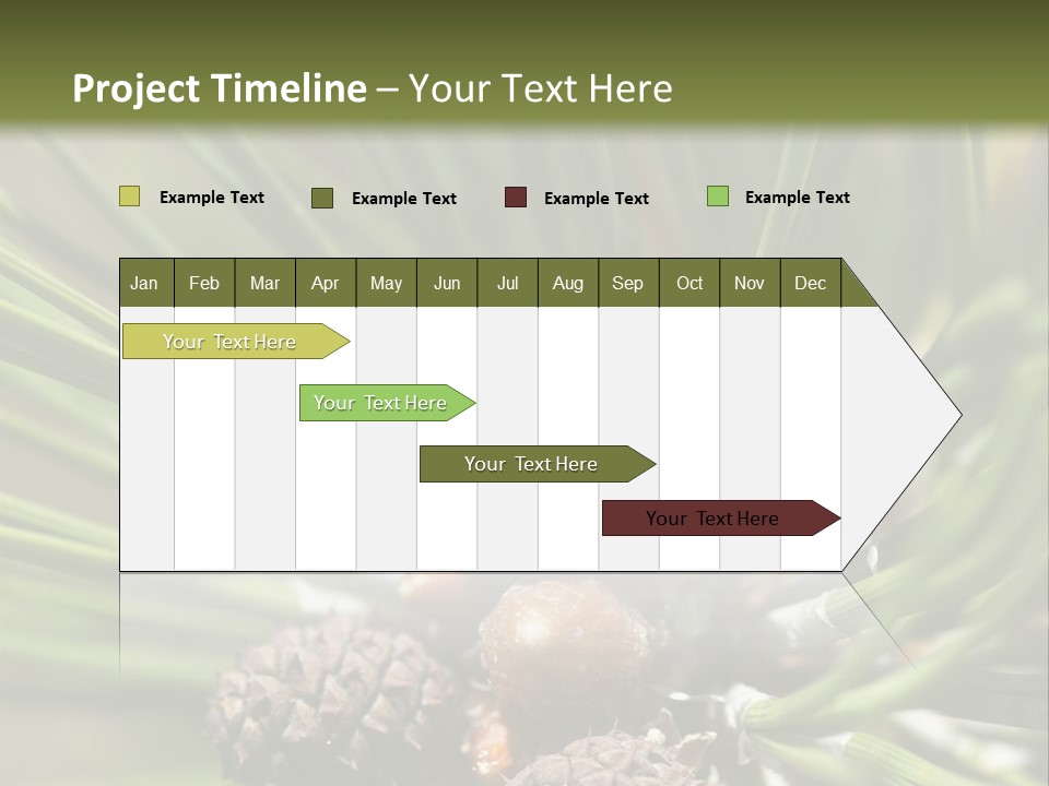 A Pine Tree With Cones And Cones On It PowerPoint Template