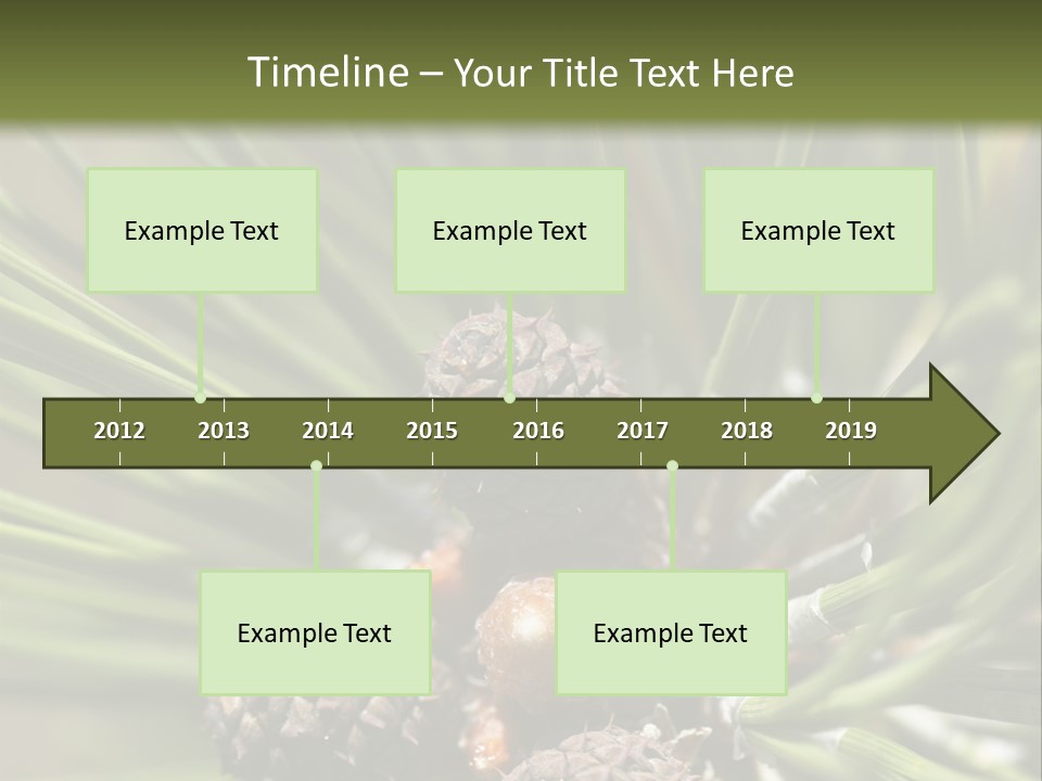 A Pine Tree With Cones And Cones On It PowerPoint Template