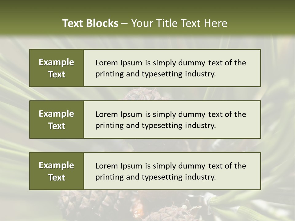 A Pine Tree With Cones And Cones On It PowerPoint Template