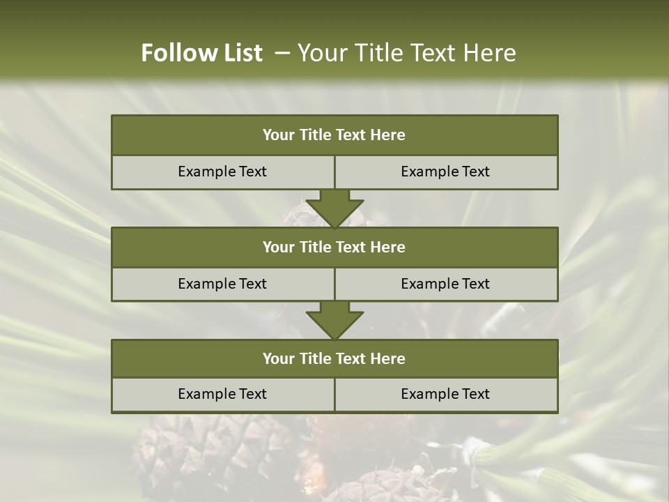 A Pine Tree With Cones And Cones On It PowerPoint Template