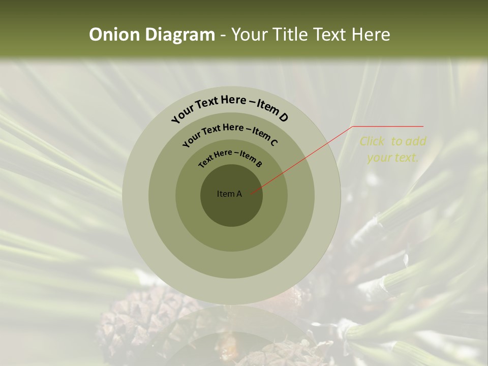 A Pine Tree With Cones And Cones On It PowerPoint Template