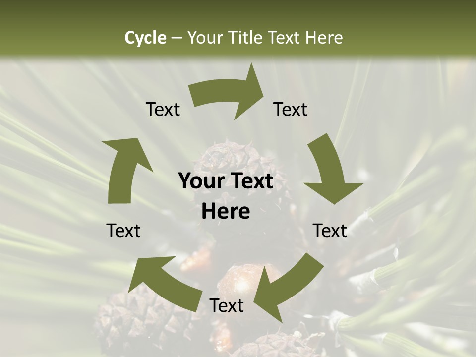 A Pine Tree With Cones And Cones On It PowerPoint Template