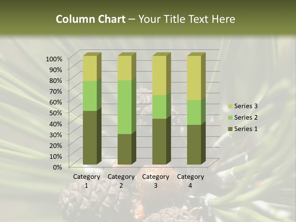A Pine Tree With Cones And Cones On It PowerPoint Template