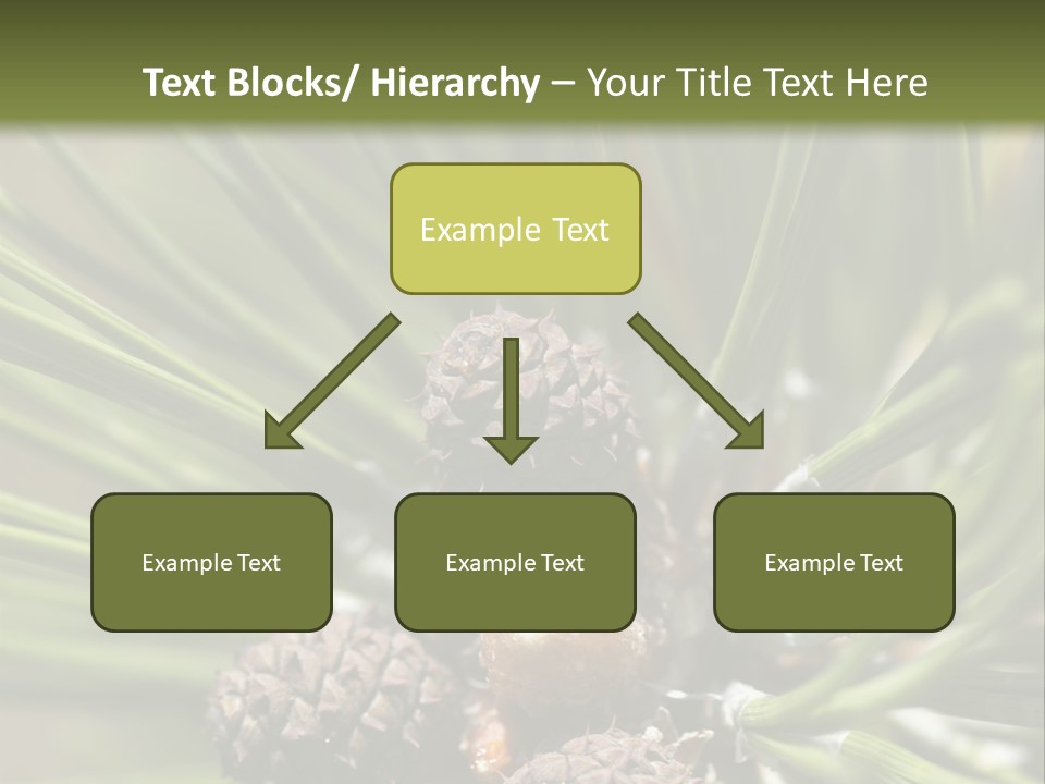 A Pine Tree With Cones And Cones On It PowerPoint Template